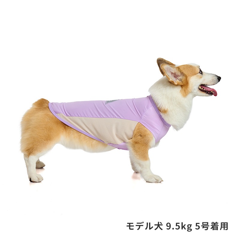COOLマウンテンロゴタンク