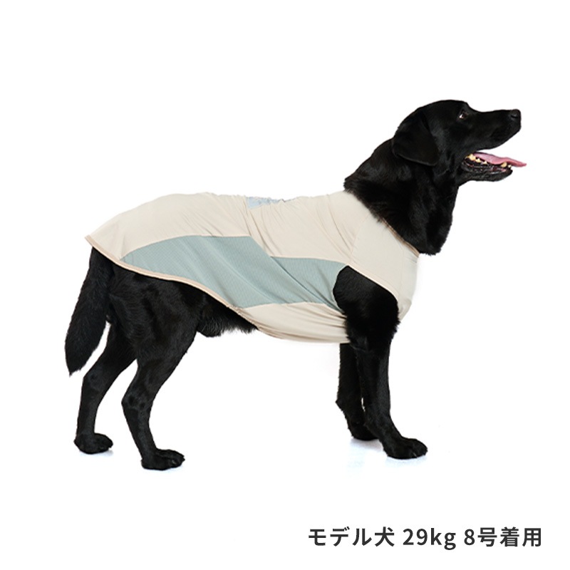 COOLマウンテンロゴタンク
