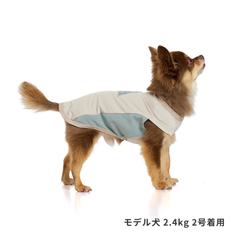 COOLマウンテンロゴタンク