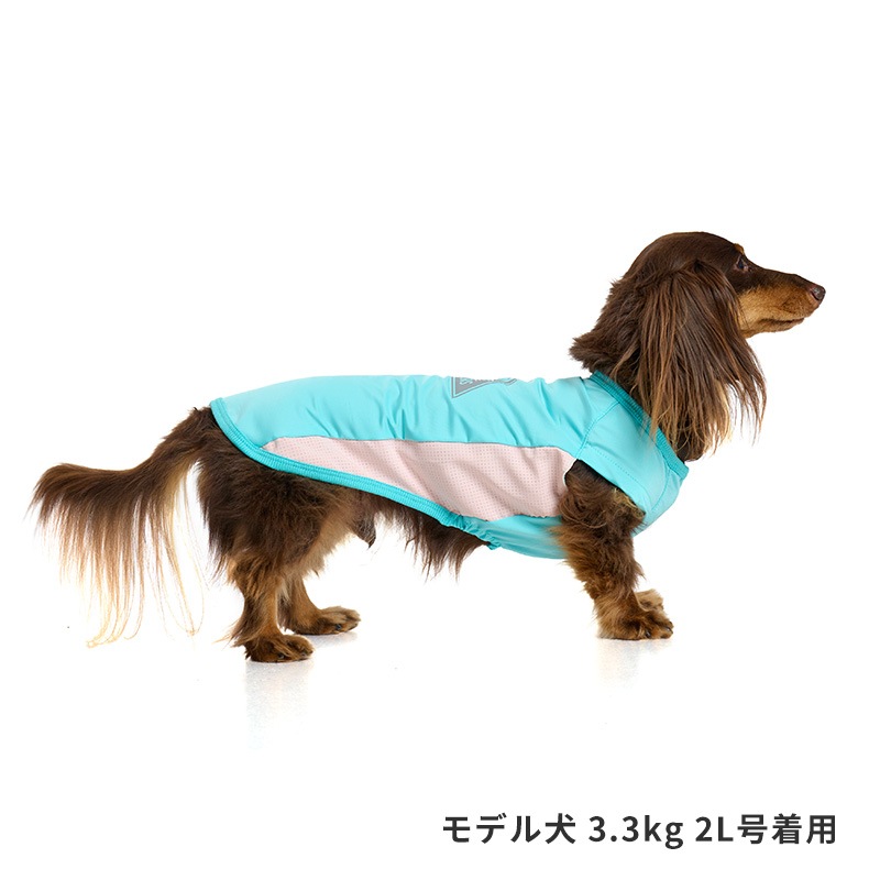 COOLマウンテンロゴタンク