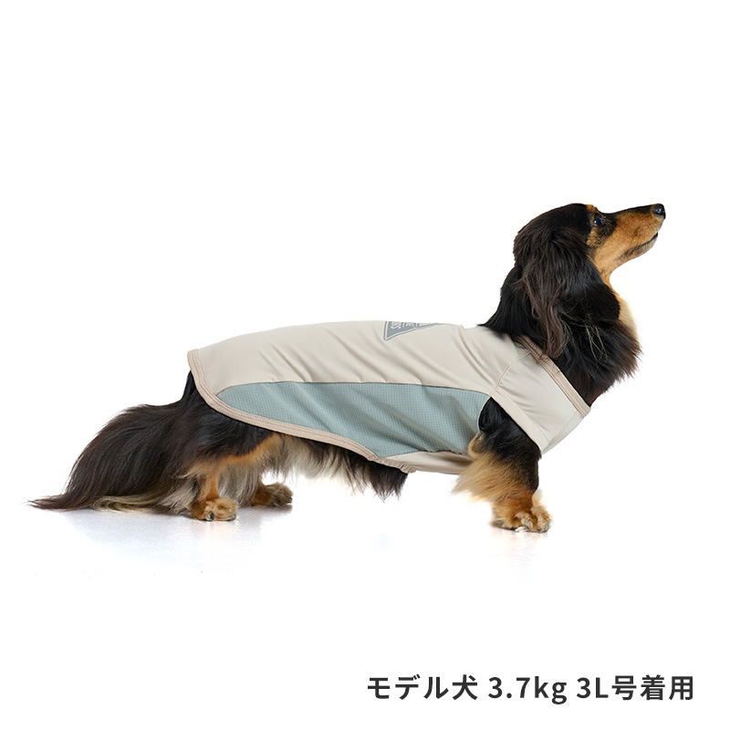 COOLマウンテンロゴタンク