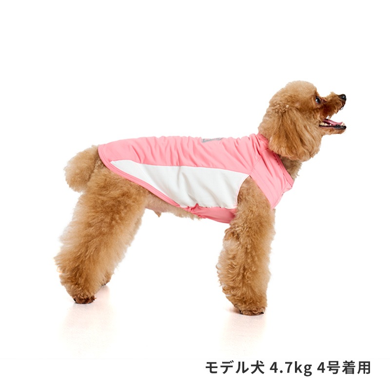 COOLマウンテンロゴタンク