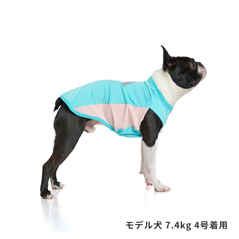 COOLマウンテンロゴタンク