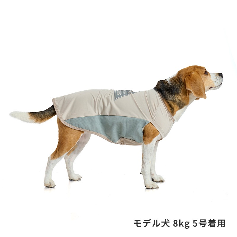 COOLマウンテンロゴタンク