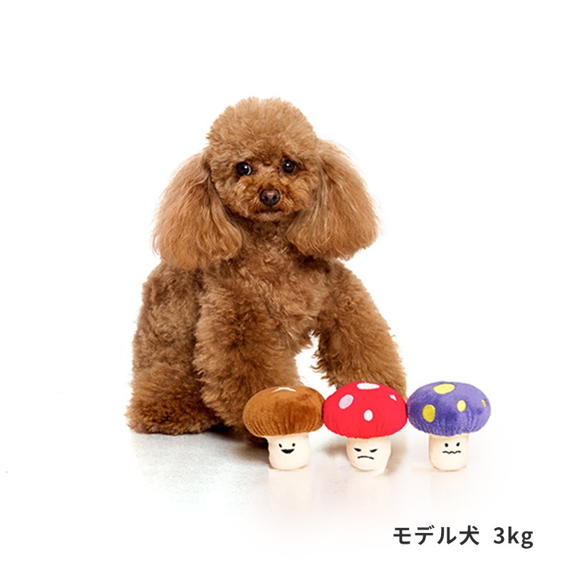 きのこフェイストイ