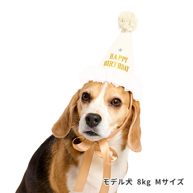 プレシャスバースデーハット
