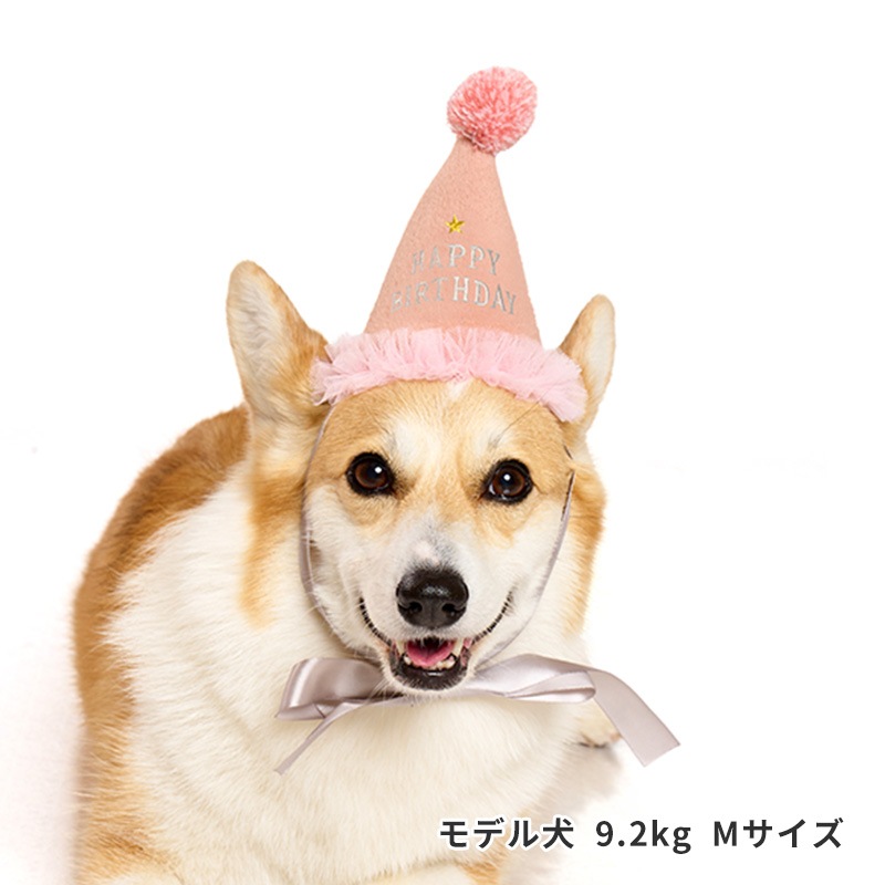 プレシャスバースデーハット