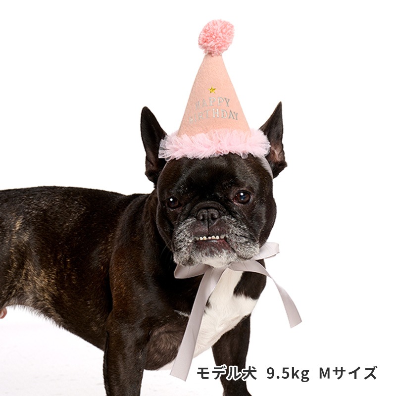 プレシャスバースデーハット