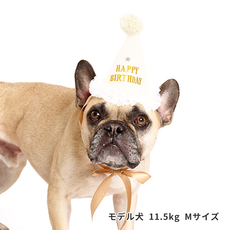プレシャスバースデーハット