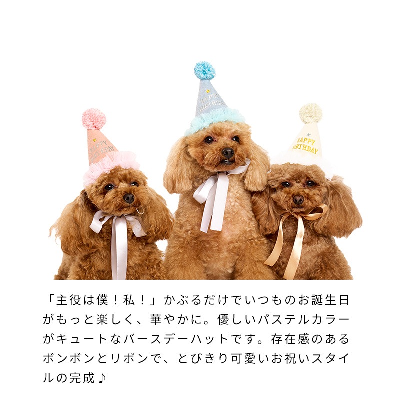 プレシャスバースデーハット