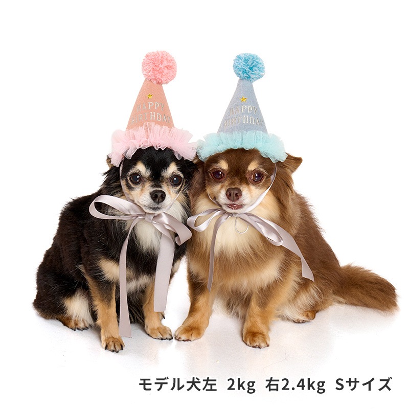 プレシャスバースデーハット