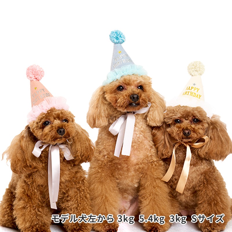 プレシャスバースデーハット