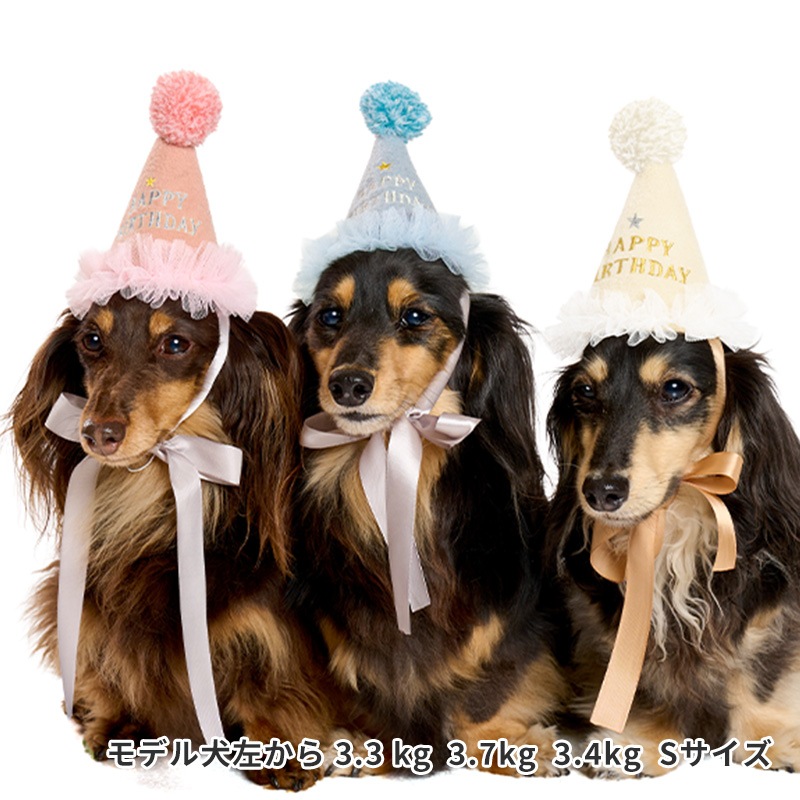 プレシャスバースデーハット