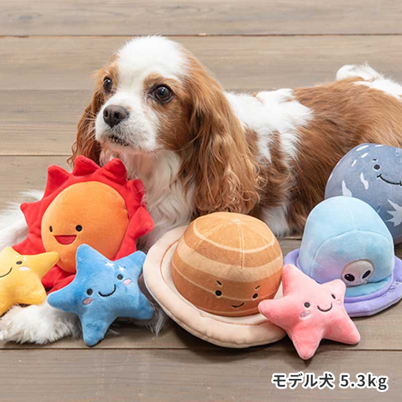 月 | Toys（おもちゃ） | LIFE LIKE 【犬服グッズ専門店】