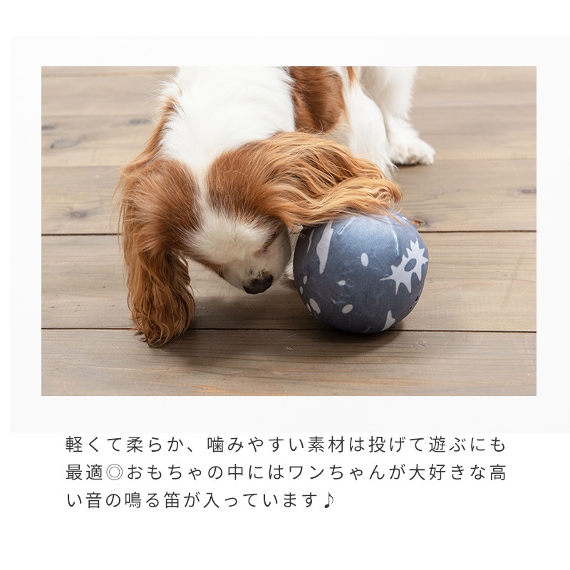 月 | Toys（おもちゃ） | LIFE LIKE 【犬服グッズ専門店】
