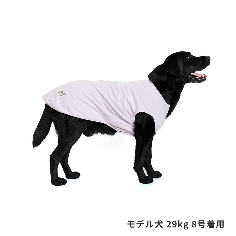 ICEライフイズタンク