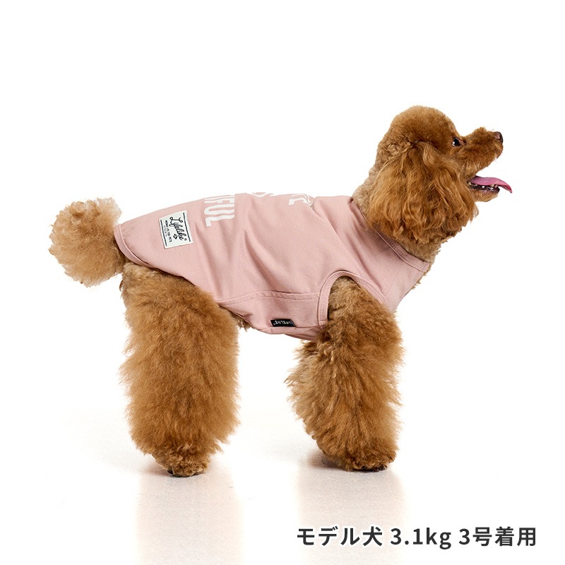 ICEライフイズタンク