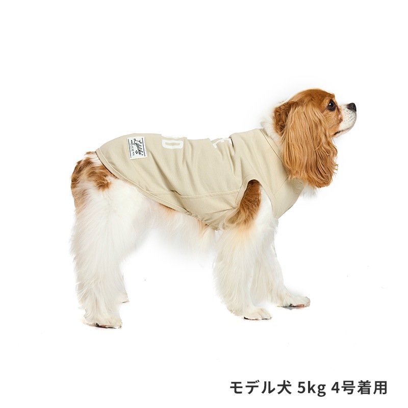 ICEライフイズタンク