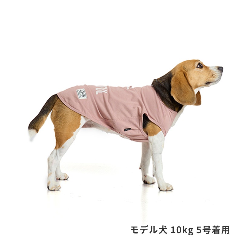 ICEライフイズタンク