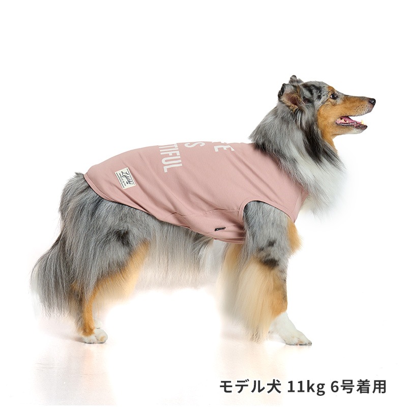 ICEライフイズタンク