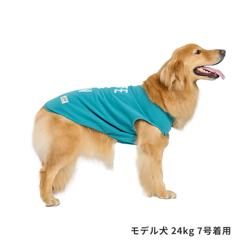 ICEライフイズタンク