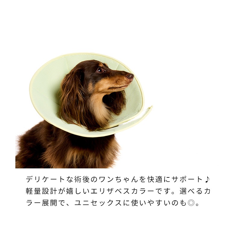 ライトエリザベスカラー | Others（その他）,ヘルスケア | LIFE LIKE