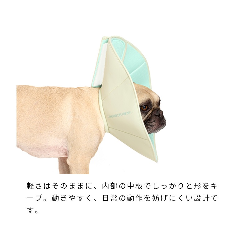 ライトエリザベスカラー