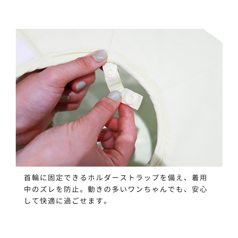 ライトエリザベスカラー