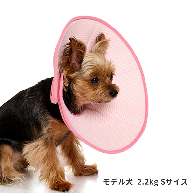 ライトエリザベスカラー | Others（その他）,ヘルスケア | LIFE LIKE