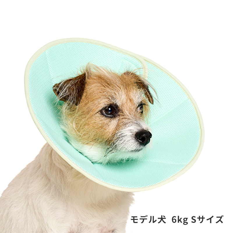 ライトエリザベスカラー | Others（その他）,ヘルスケア | LIFE LIKE