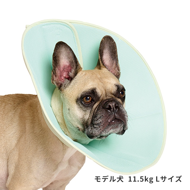 ライトエリザベスカラー