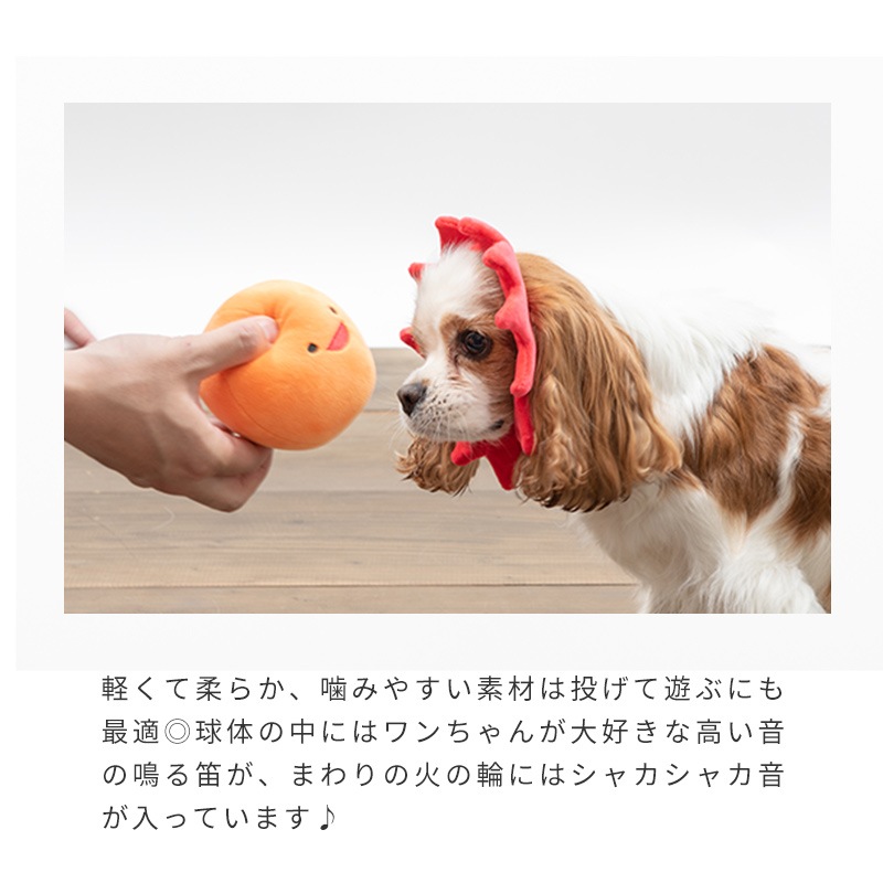 太陽 | Toys（おもちゃ） | LIFE LIKE 【犬服グッズ専門店】