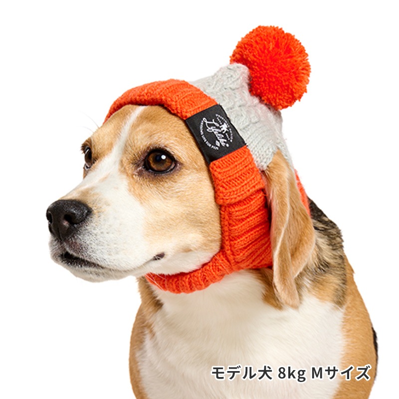 バイカラーニットキャップ