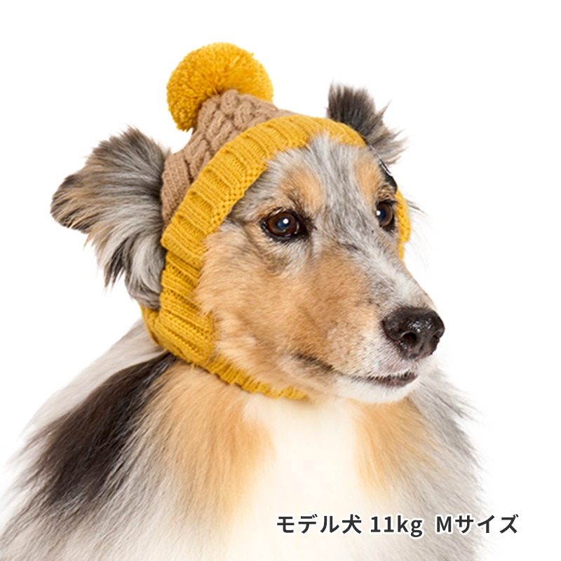 バイカラーニットキャップ