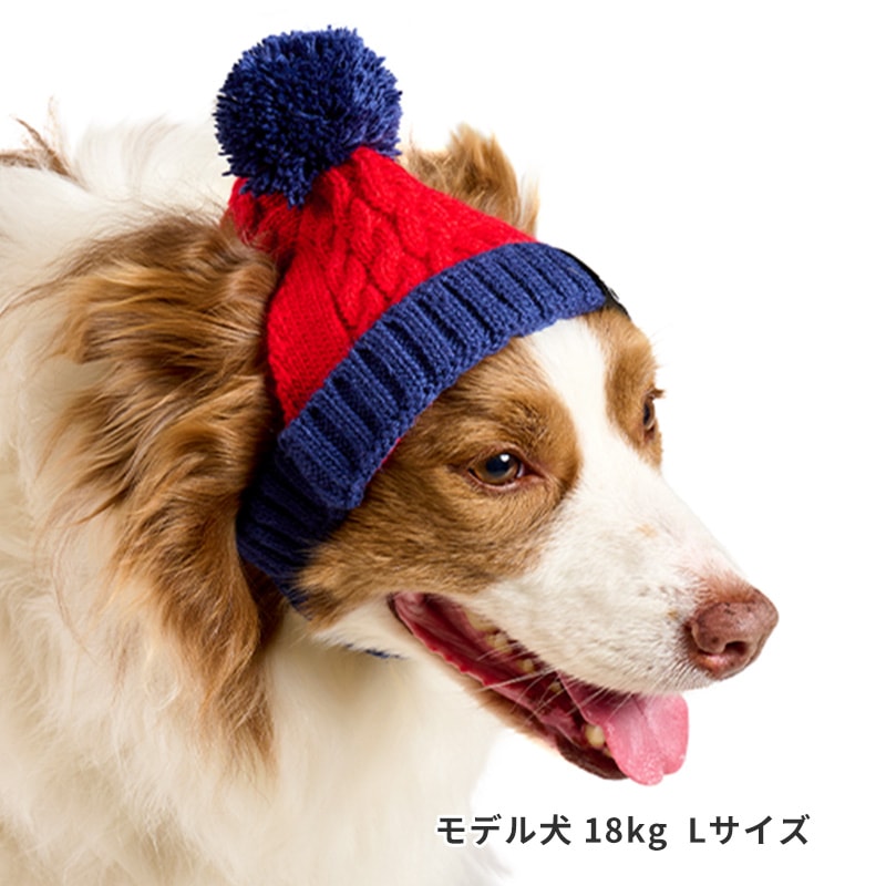 バイカラーニットキャップ