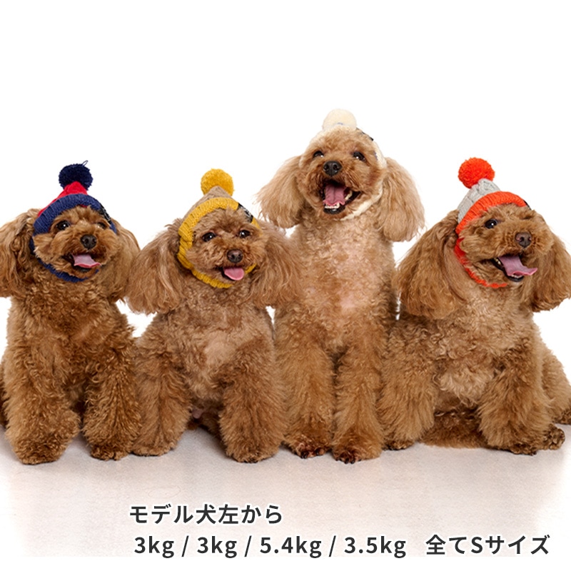 バイカラーニットキャップ