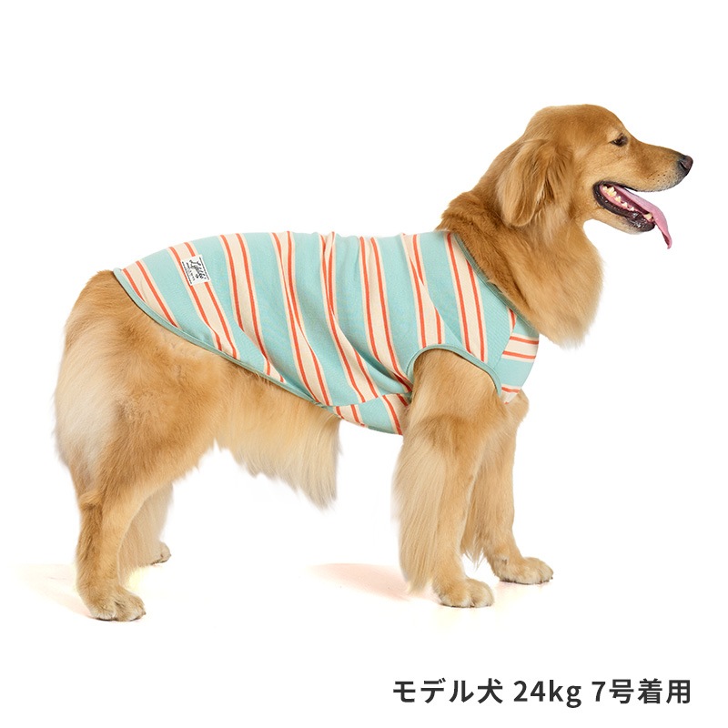 サマーボーダータンク