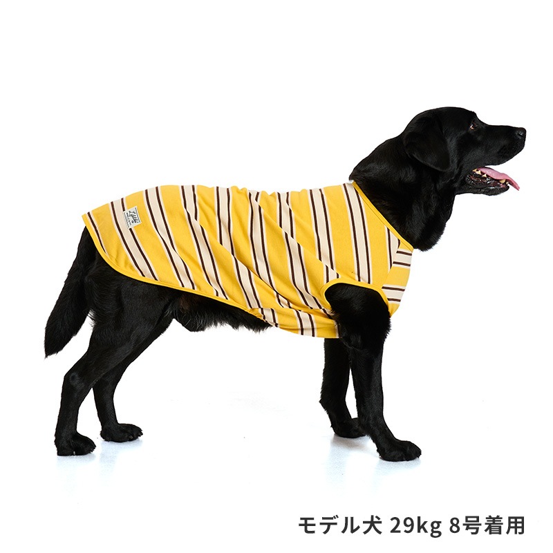 サマーボーダータンク