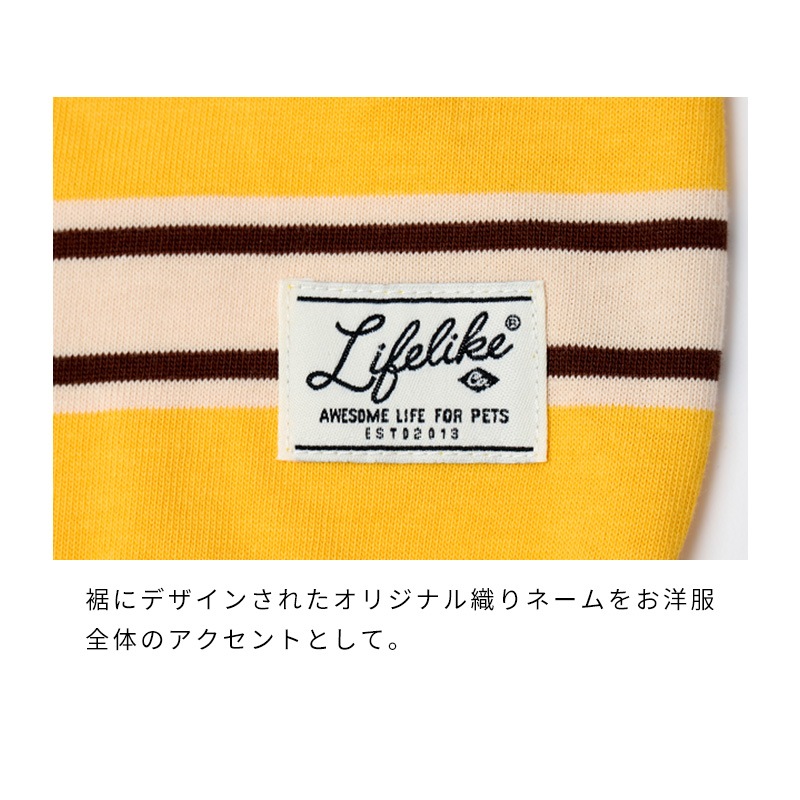 サマーボーダータンク