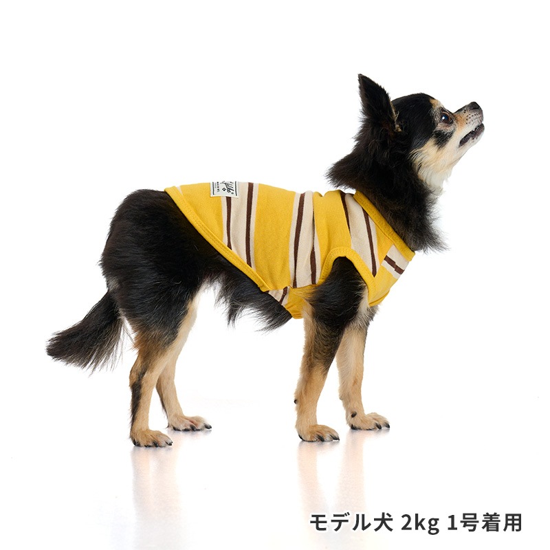 サマーボーダータンク