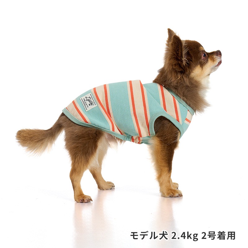 サマーボーダータンク