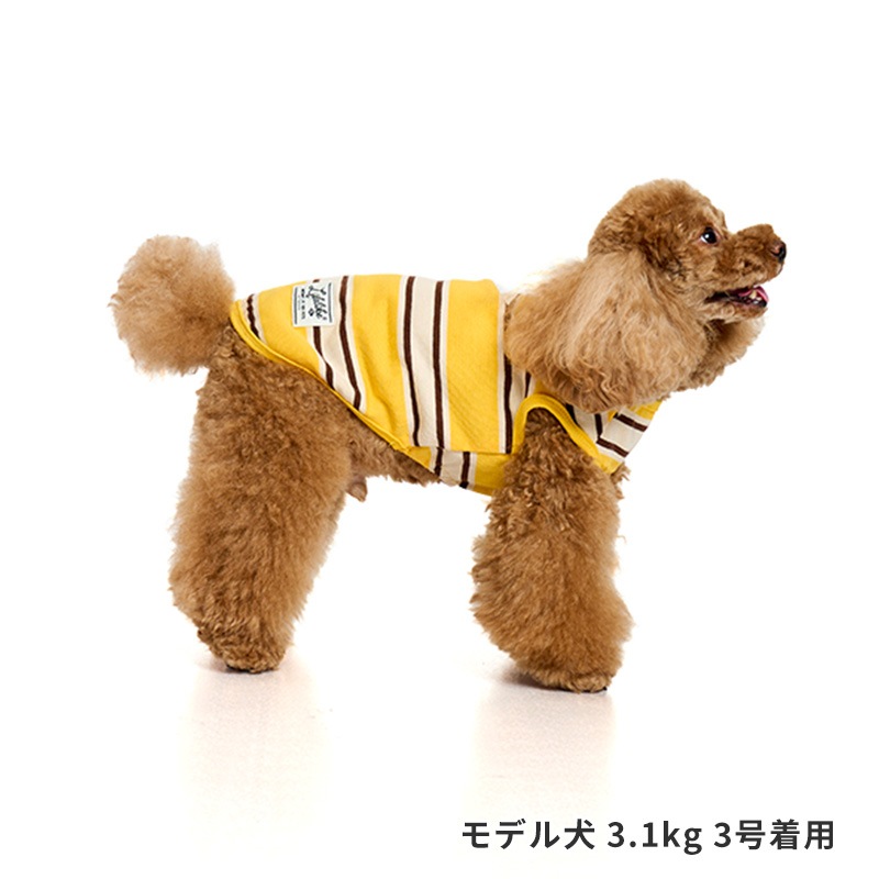 サマーボーダータンク
