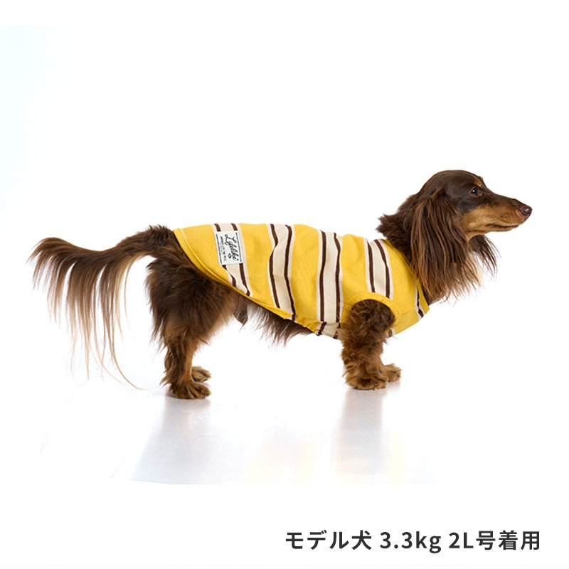サマーボーダータンク