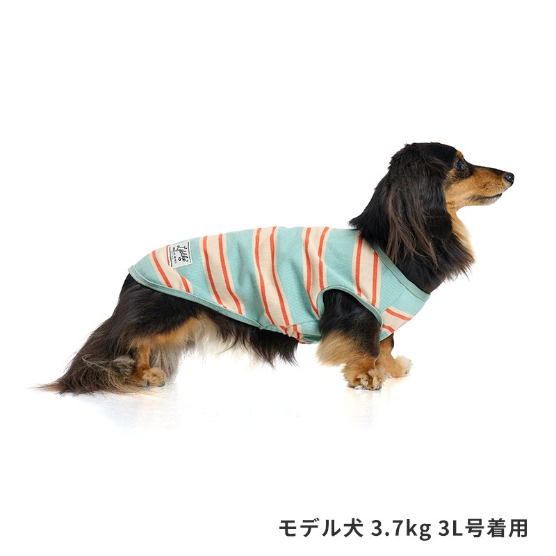 サマーボーダータンク