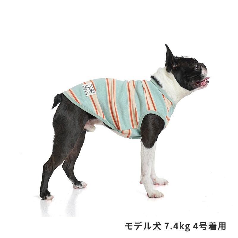 サマーボーダータンク
