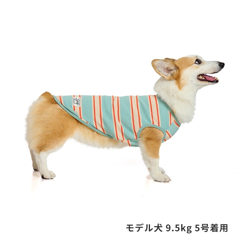サマーボーダータンク