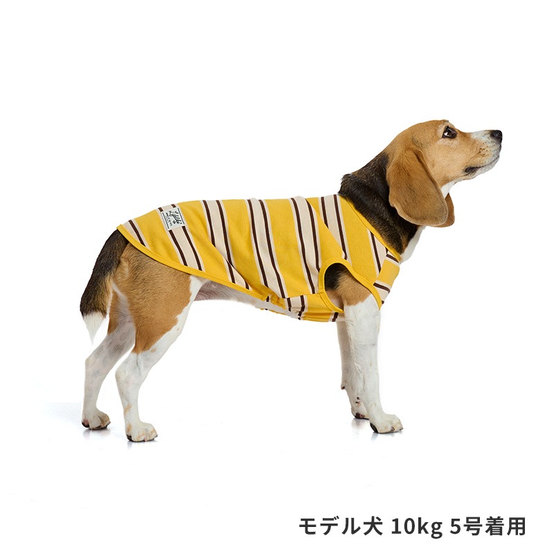 サマーボーダータンク