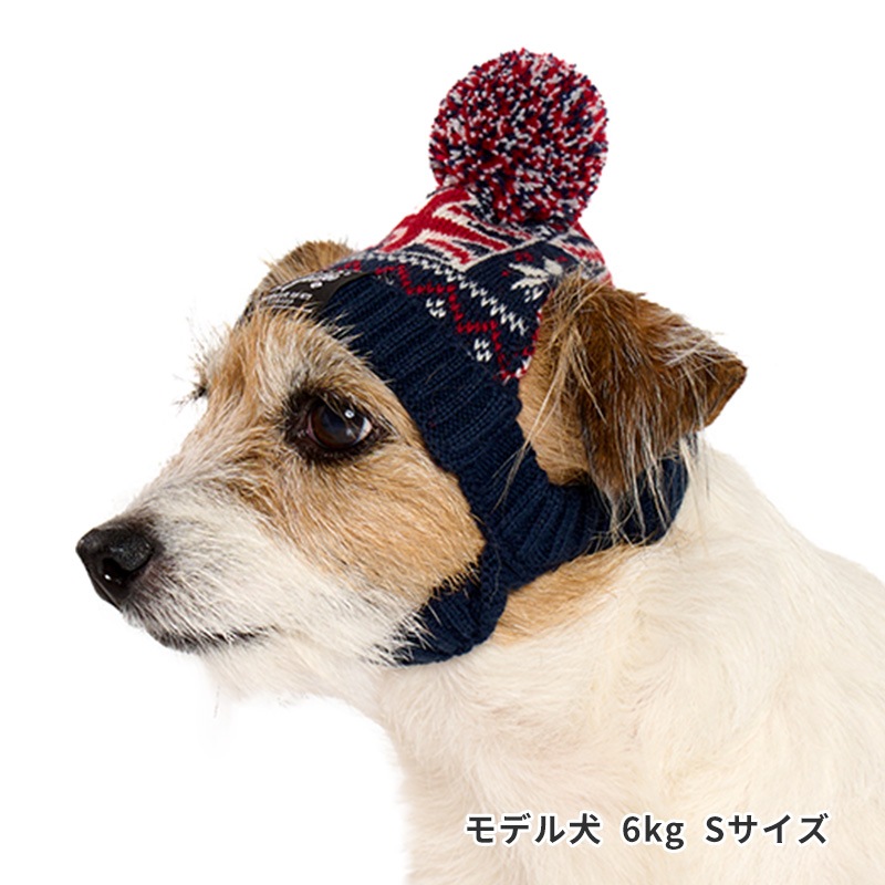 犬 ニット ナショナルフラッグニット帽 | Cap（キャップ・ハット・バンダナ