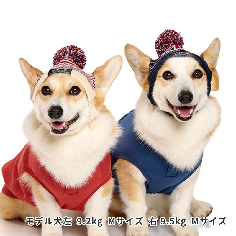 ナショナルフラッグニット帽