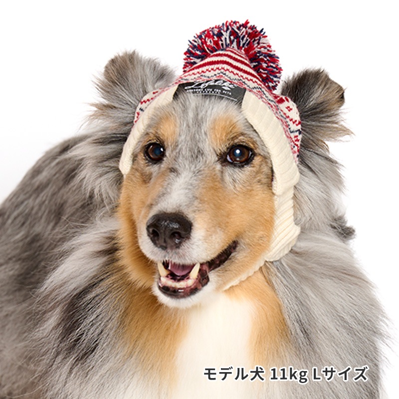 ナショナルフラッグニット帽